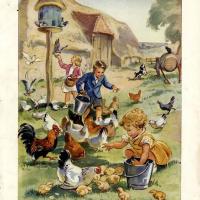 Farm