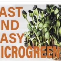 Microgreens