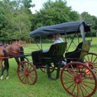 Carriage