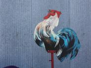 Red Rooster Ruckus Gallery